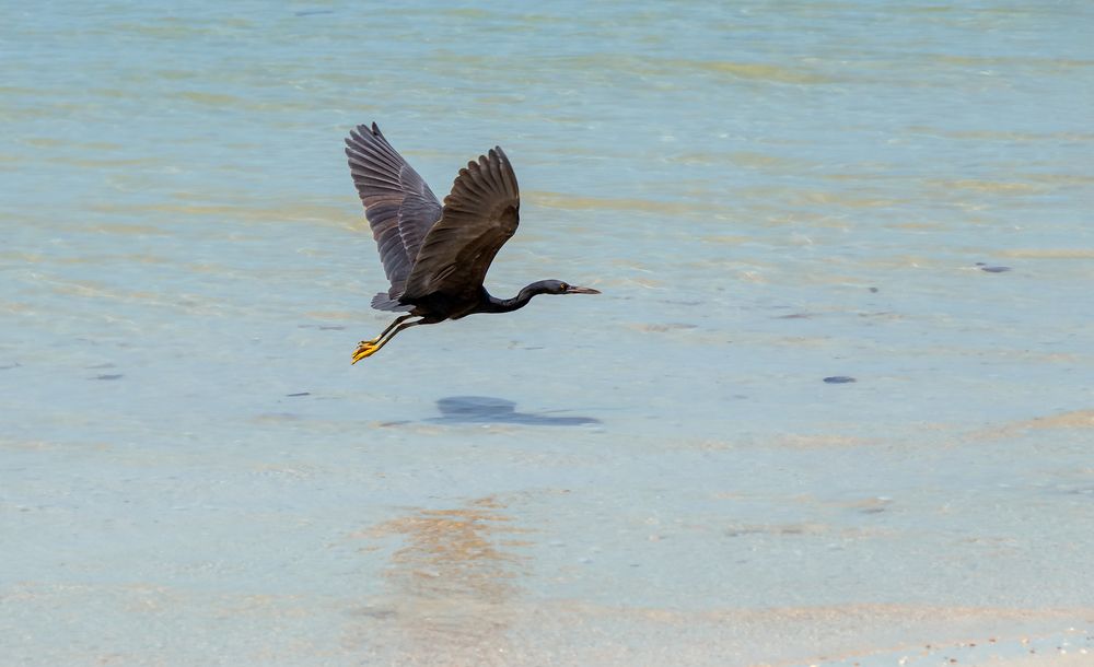 Photograph by Evgeniia Iakimenko