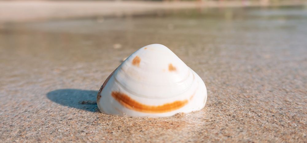 Photograph by Evgeniia Iakimenko