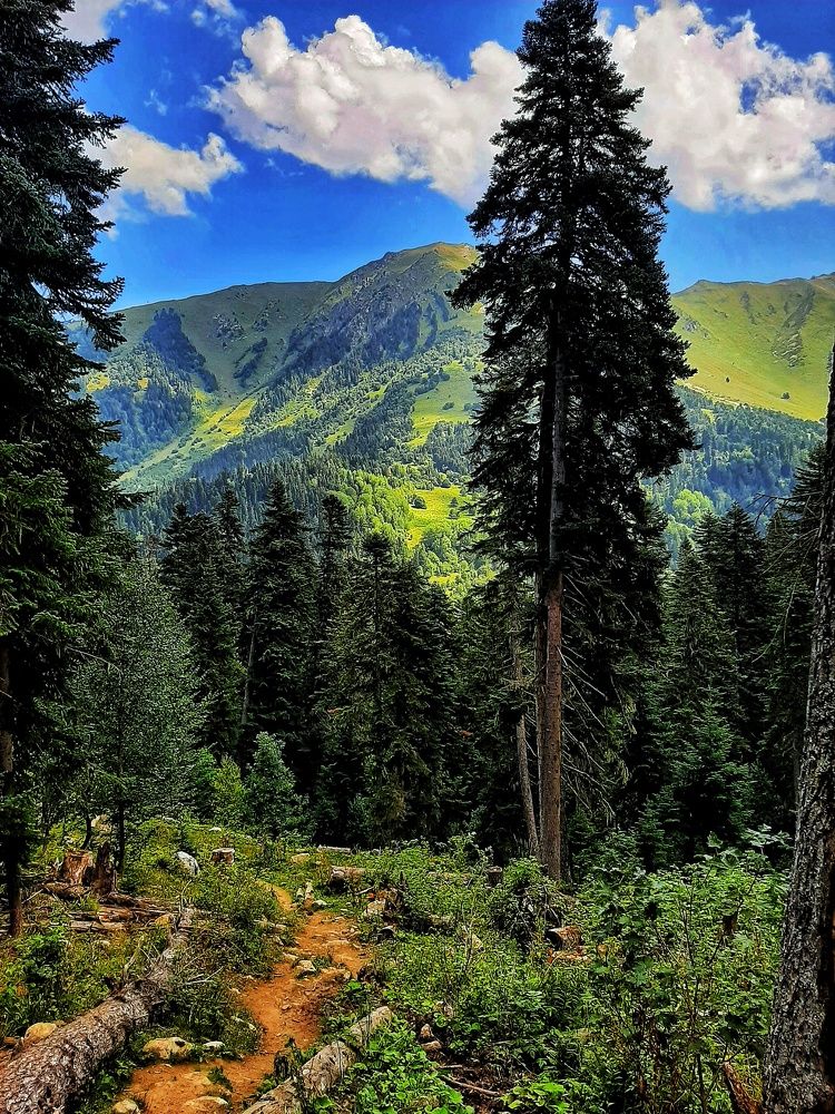 Photograph by Олеся Янова