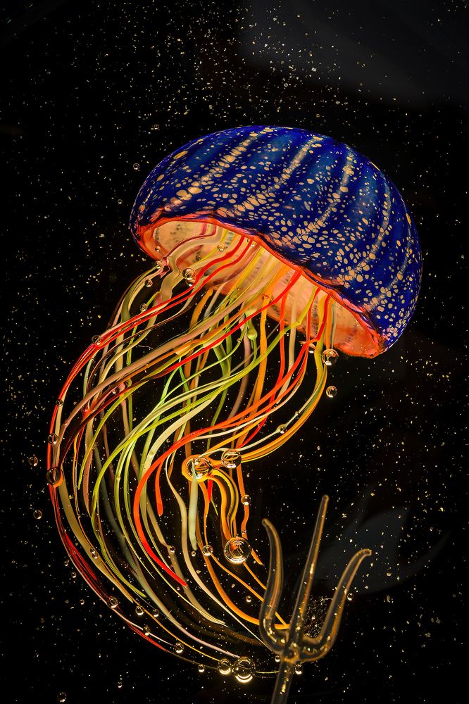 Фотография автора Hotea Gabriel