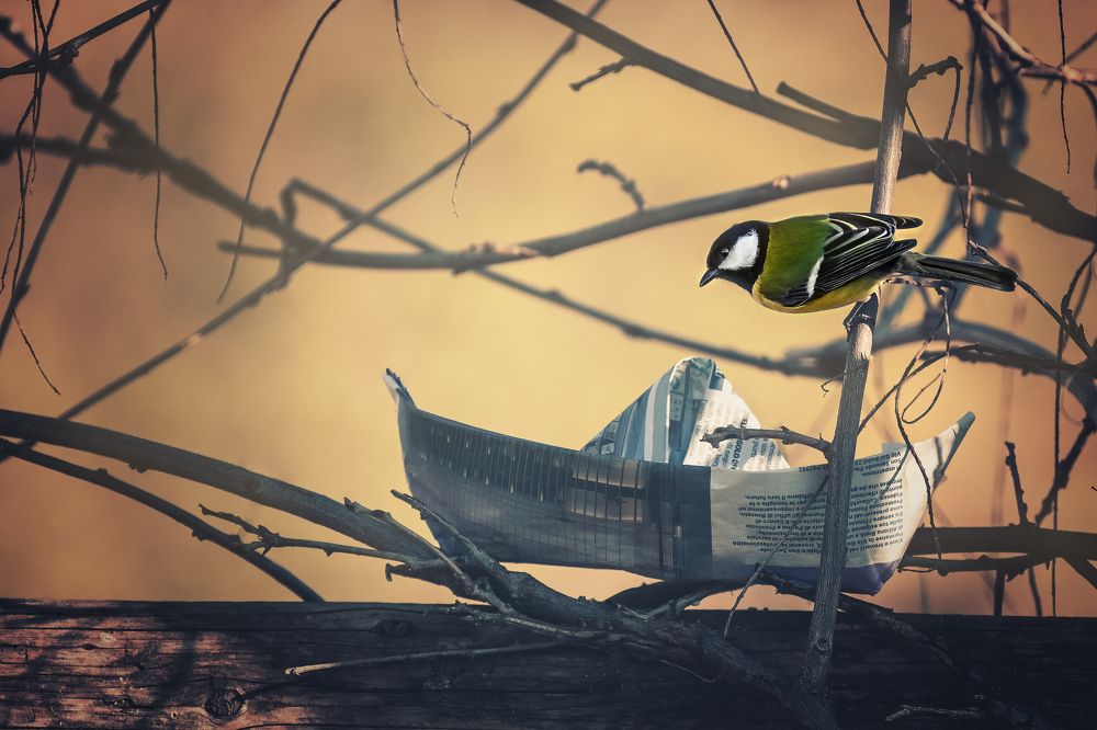 Photograph by Sara Pinotti