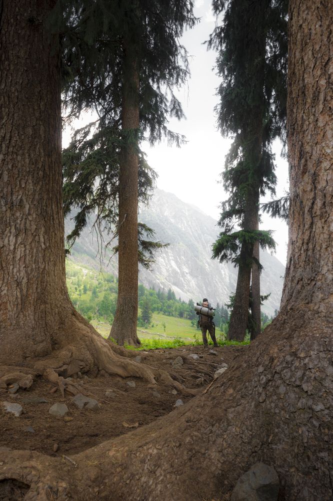 Photograph by Zohaib Atta