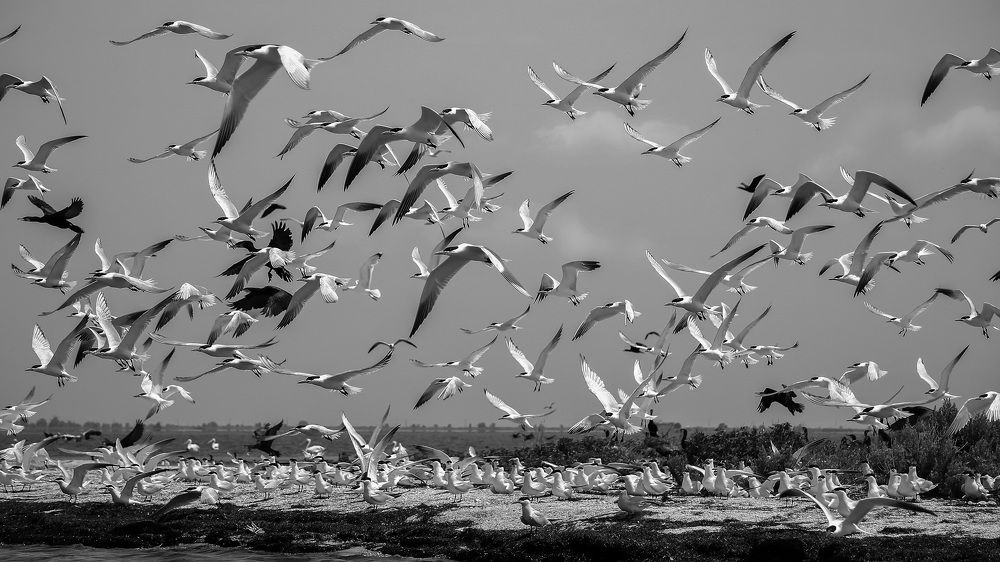 Photograph by Анжела