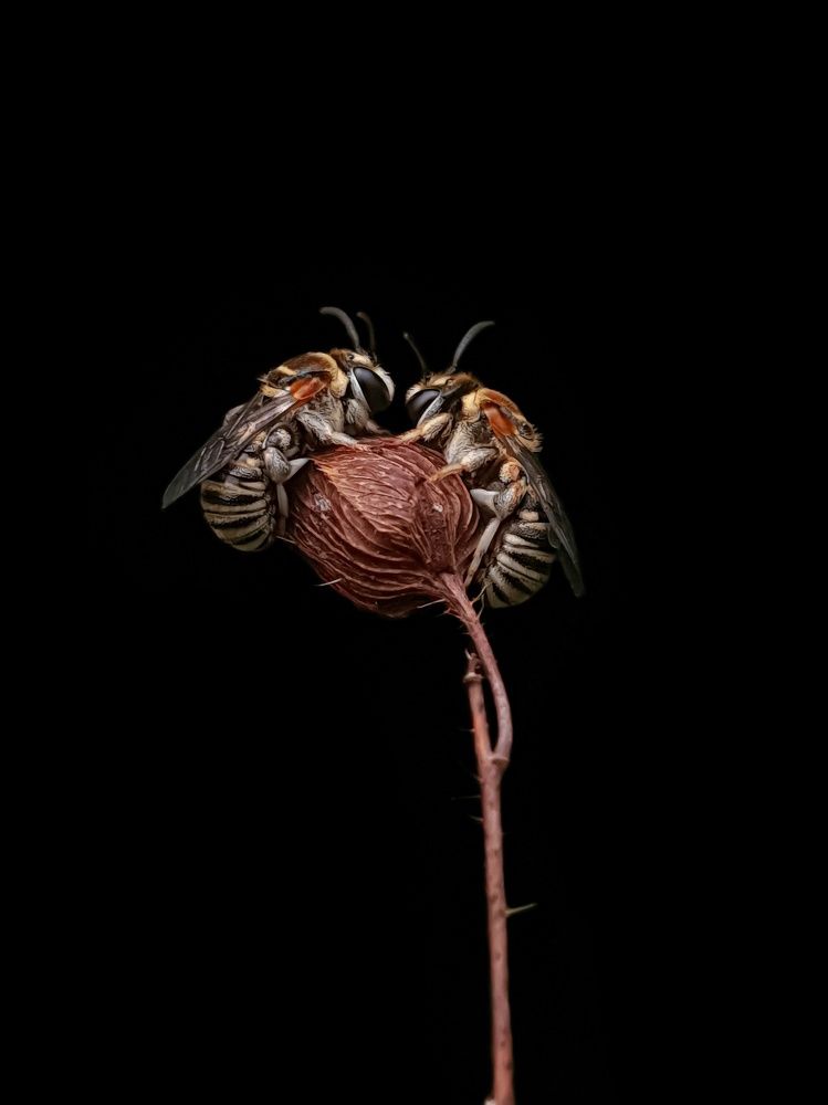 Photograph by sunil kumbar