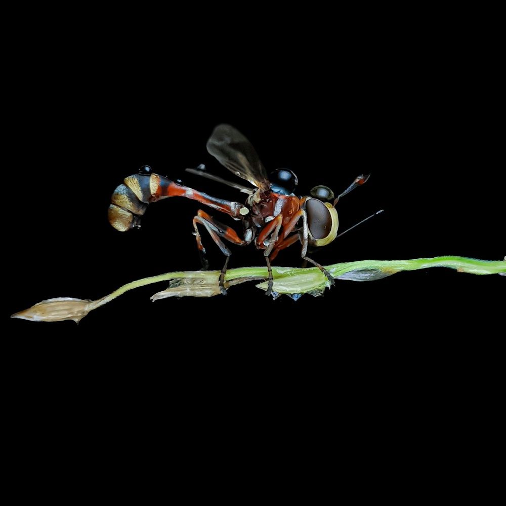 Photograph by sunil kumbar