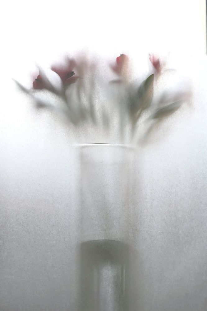 Photograph by Екатерина Дубровская