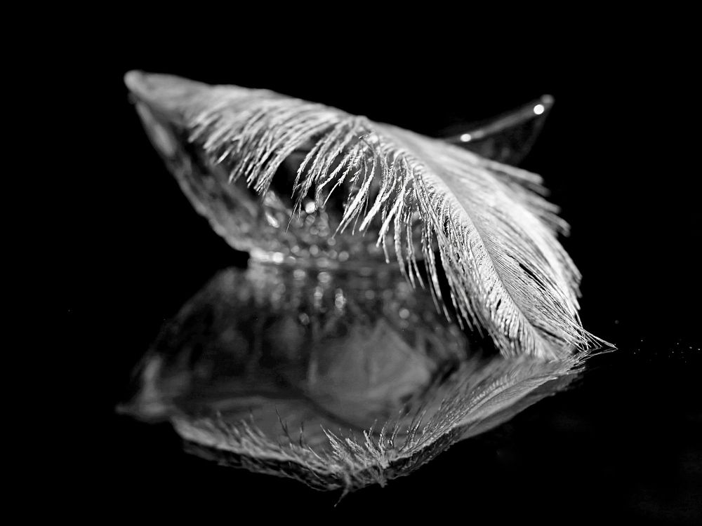 Недремлющее око.