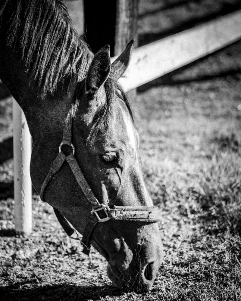 Photograph by Goran Bencaric