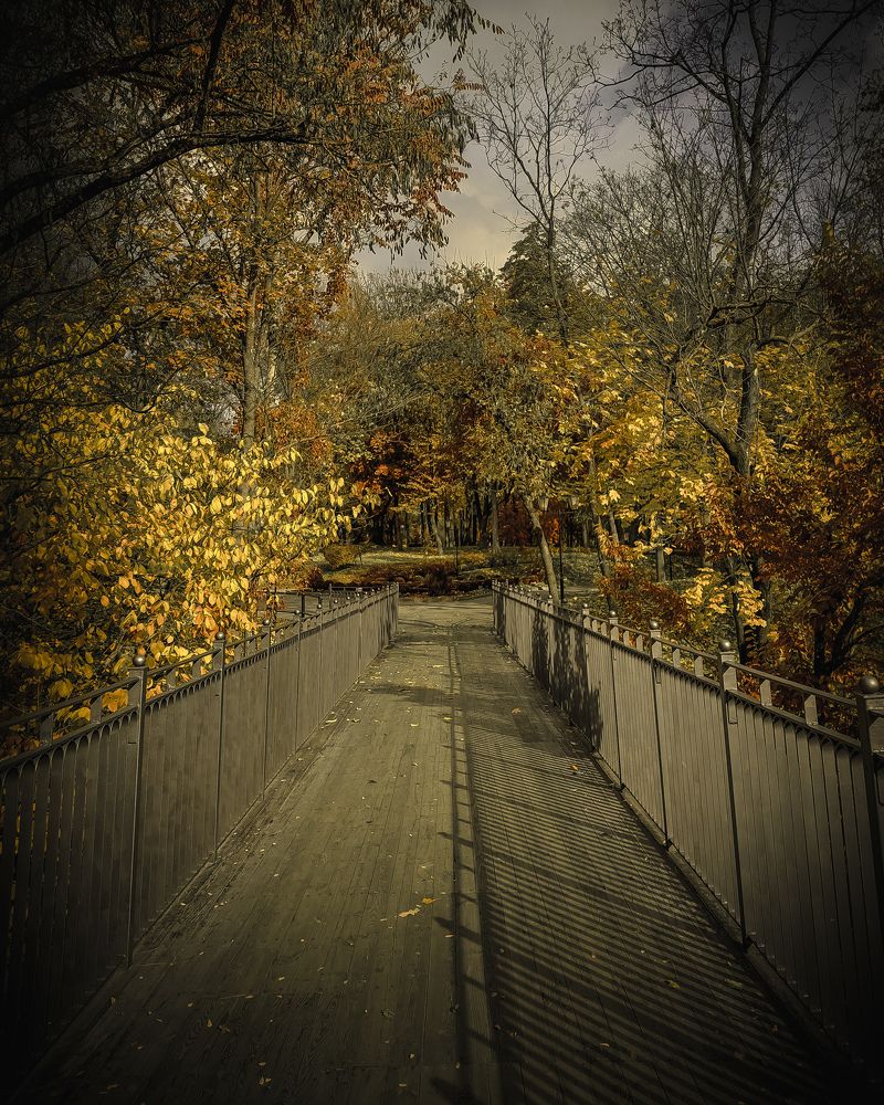 Photograph by Владимир Гончаров