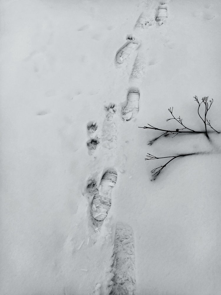 Photograph by Татьяна Мазок