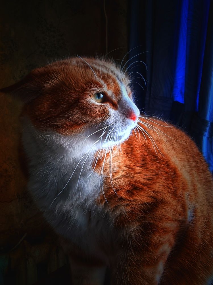 Photograph by Василий Садовский