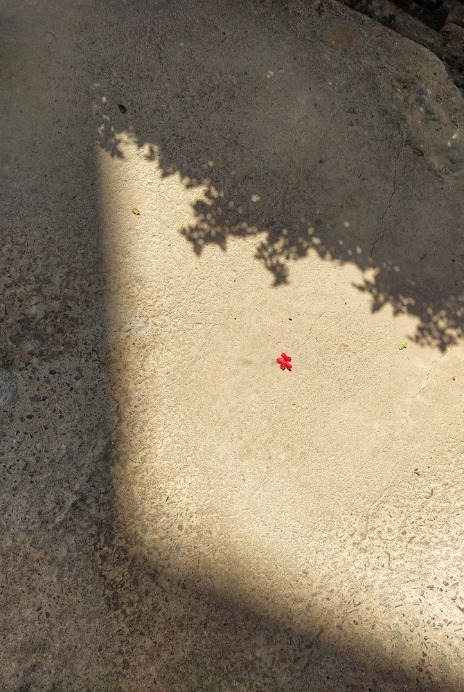 Photograph by Татьяна Мазок