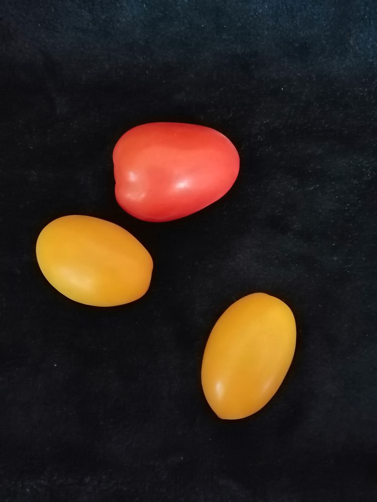 Photograph by Татьяна Чарушина