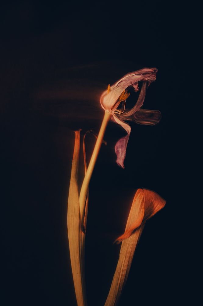 Photograph by Екатерина Щербакова