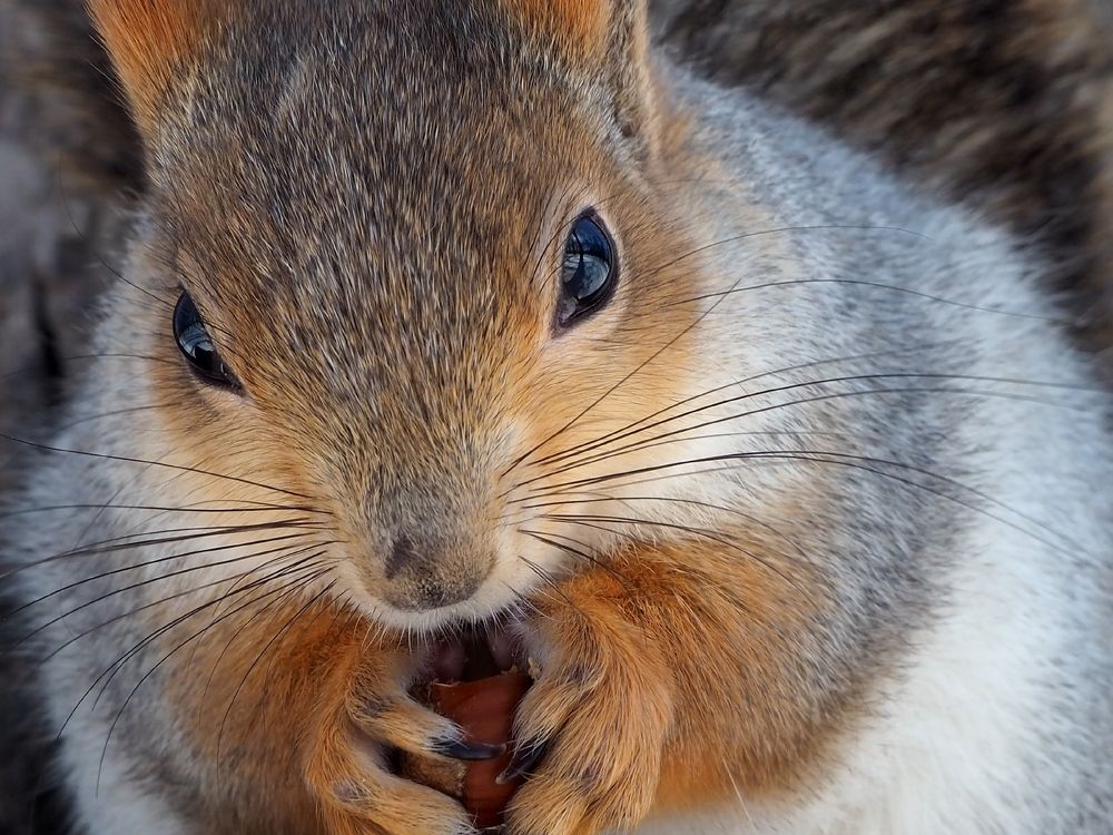 Photograph by Elena Khalizova