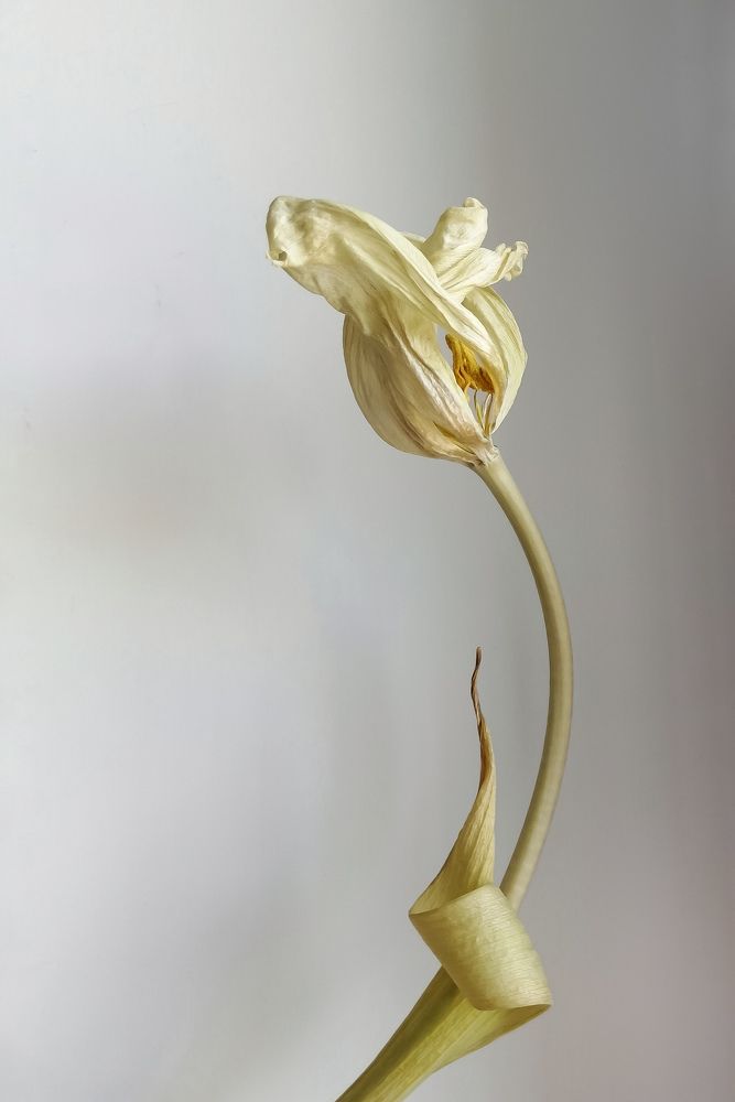 Photograph by Ольга Барковская
