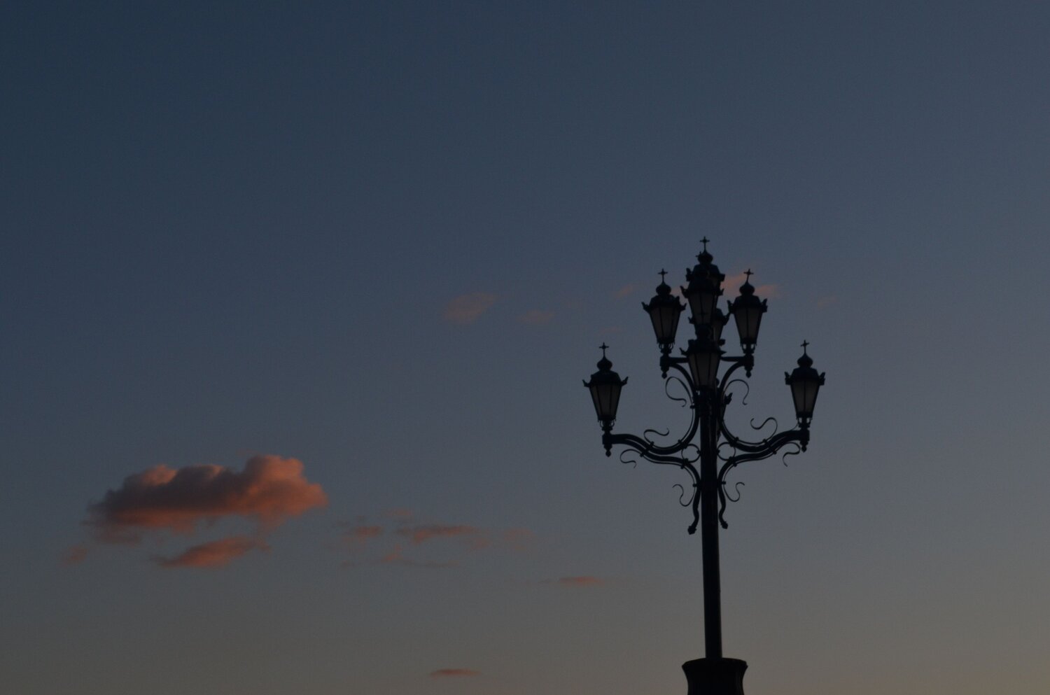 Photo #7447199