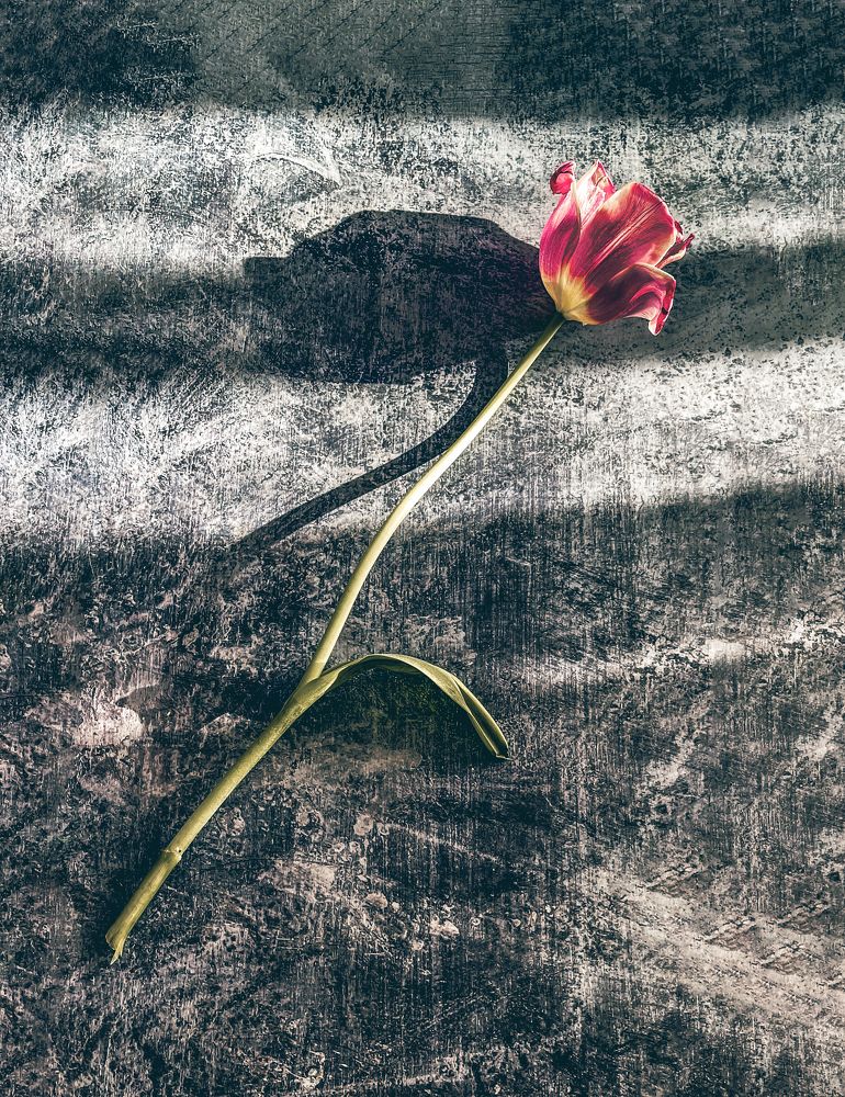 Photograph by Юлия Ковальчук