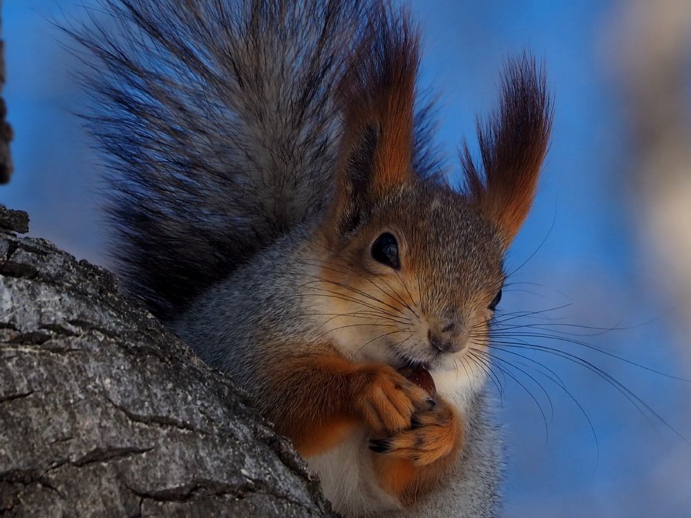 Photograph by Elena Khalizova