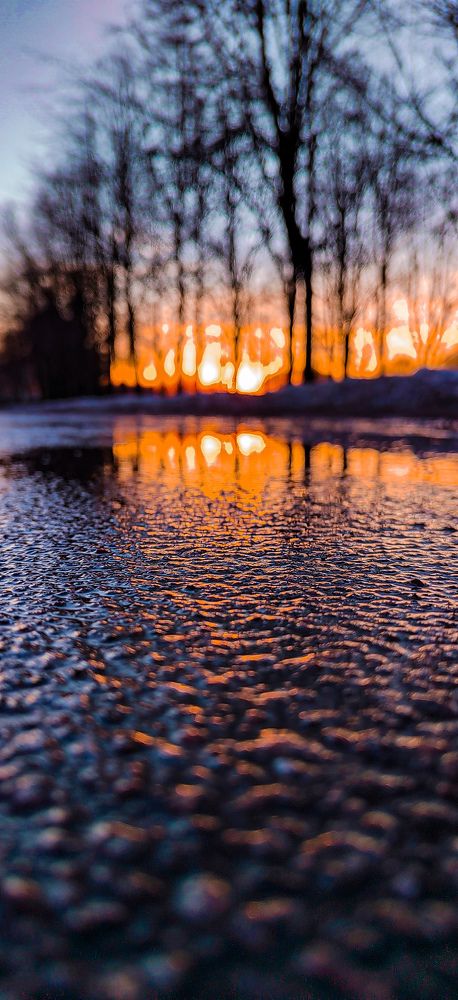 Фотография автора Наталья Королева