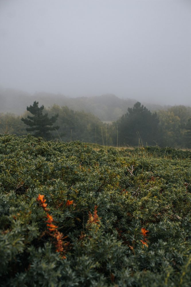 Photograph by Айрат Ахметов