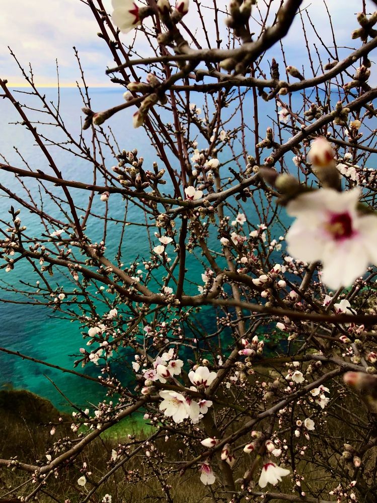 Photograph by Лариса Александрова