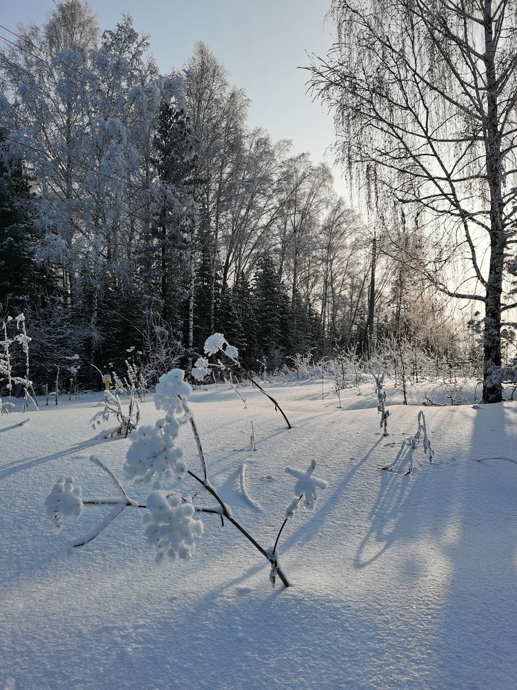 Photograph by Наталья Круглова