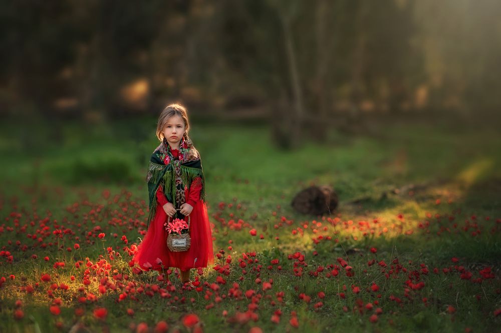 Photograph by Sonia Lazdin