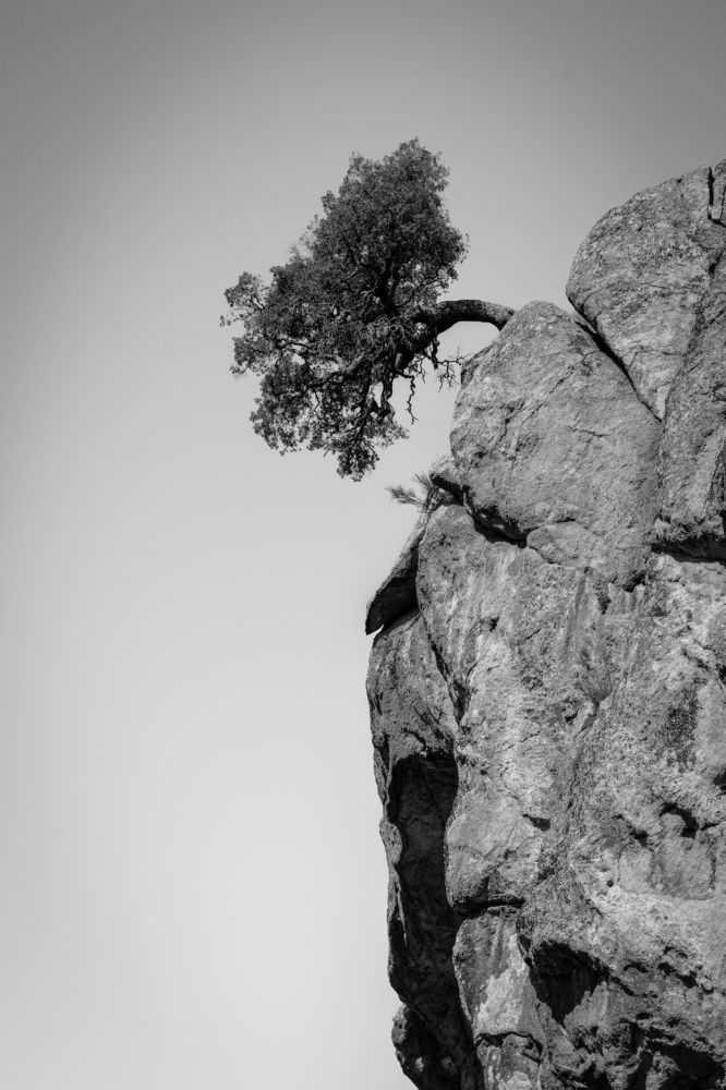 Photograph by Miguel Iglesias