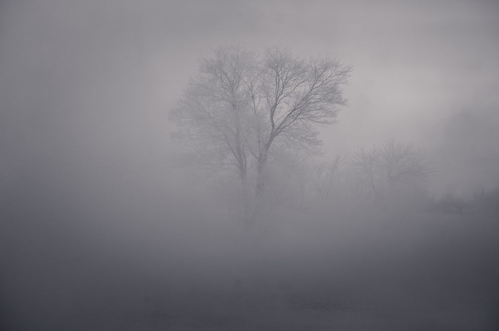 Photograph by Илья Толстоноженко