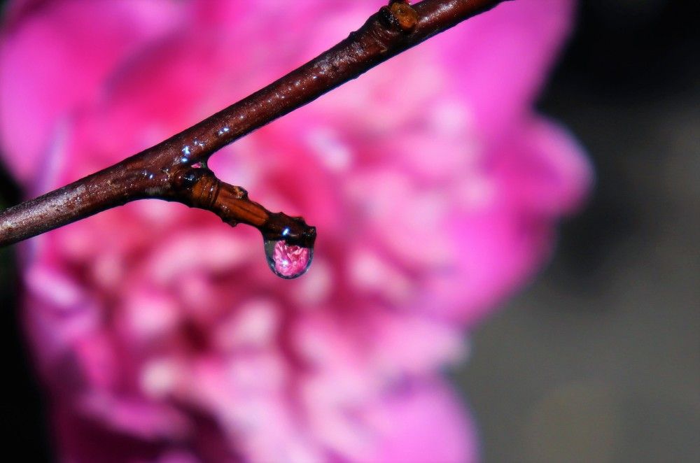 Photograph by Юлия Гольцман