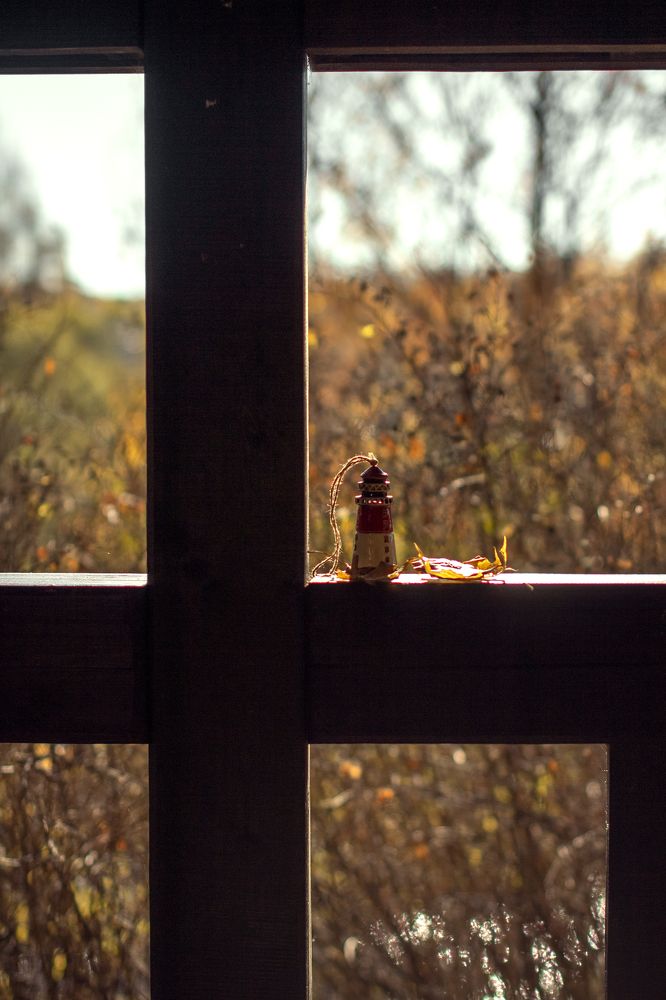 Photograph by Алла Аюпова