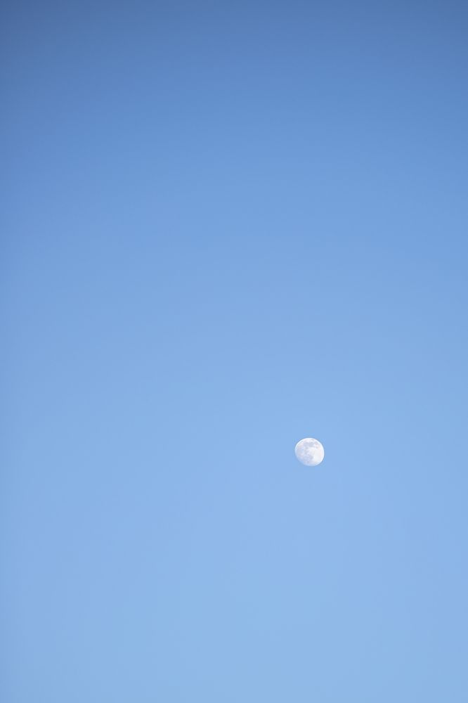 Photograph by Алла Аюпова