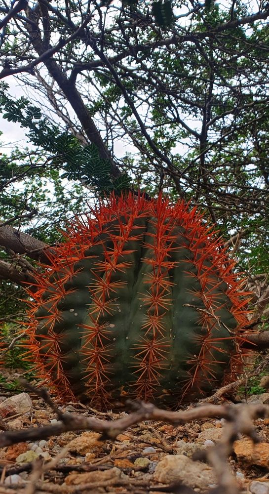 Photograph by Jeannette Beaumont