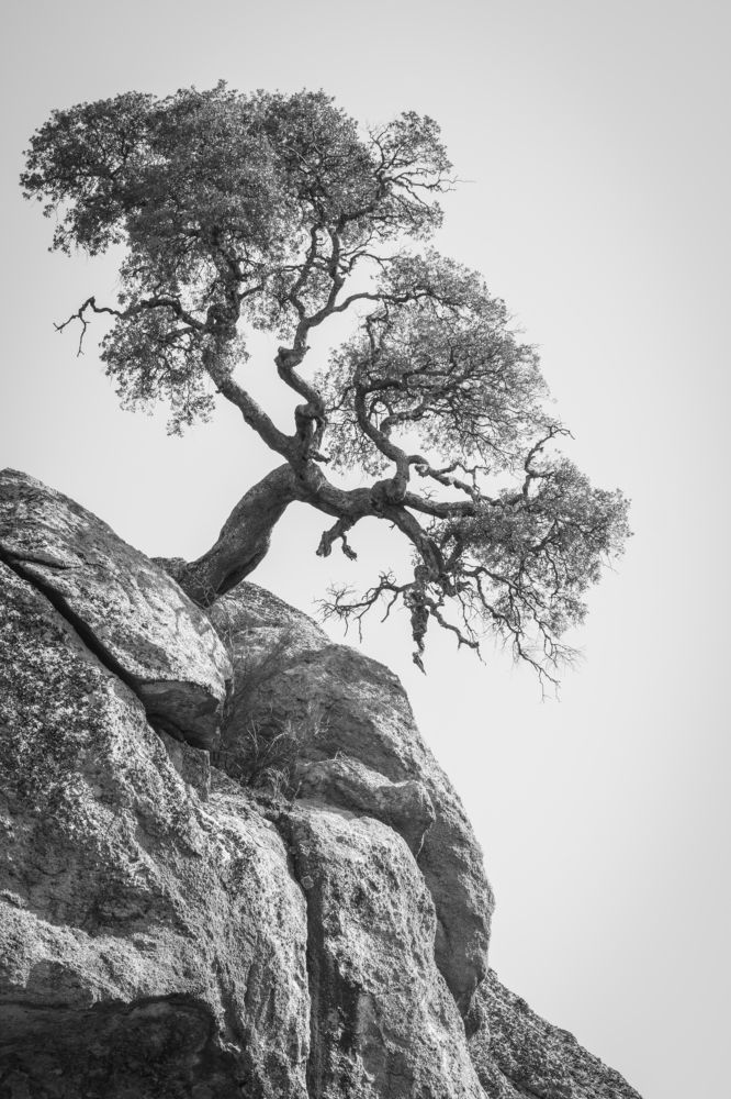 Photograph by Miguel Iglesias