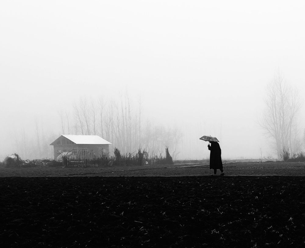 Photo #7447336
