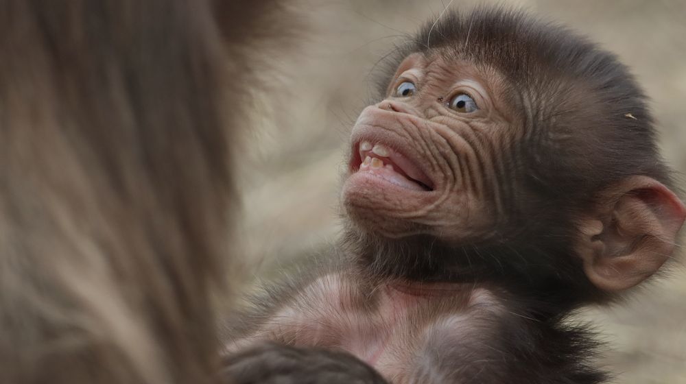 Photograph by Anja kroes