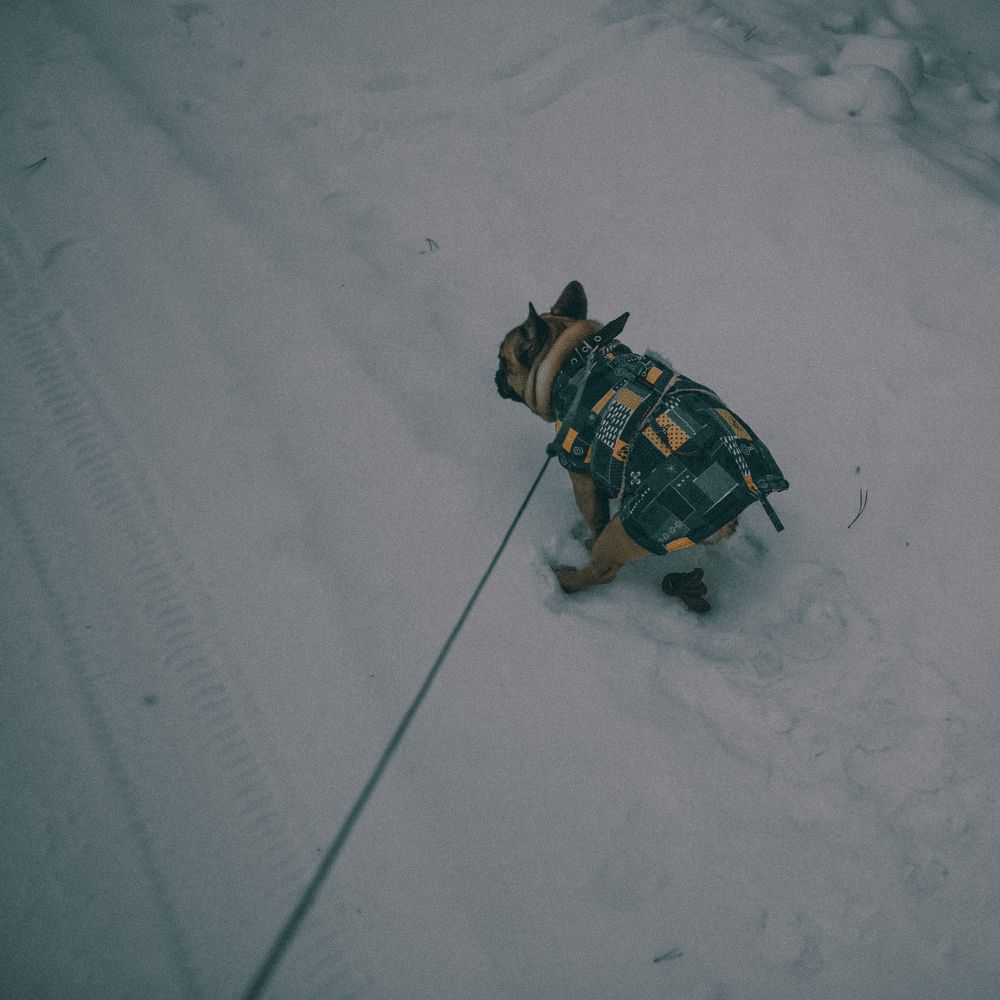 Открытки из депрессии