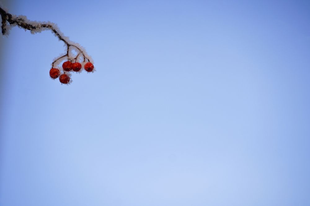 Photograph by Оксана Антипова