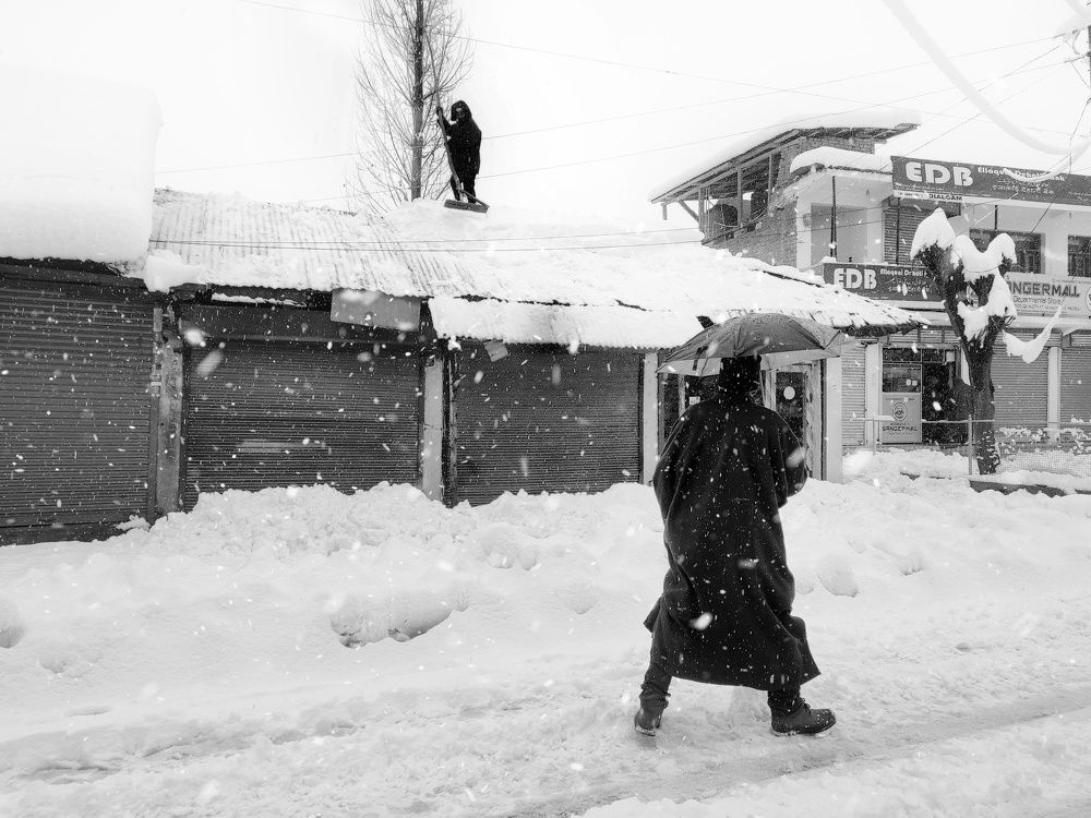 Photo #7447390