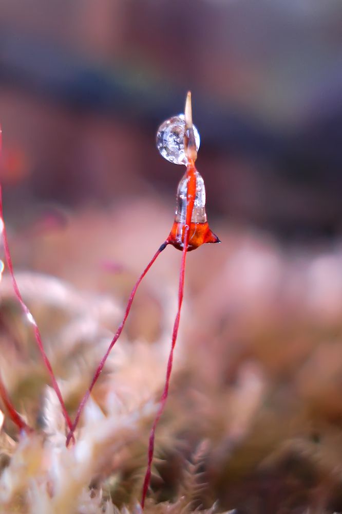 Photograph by Павел Колеснев