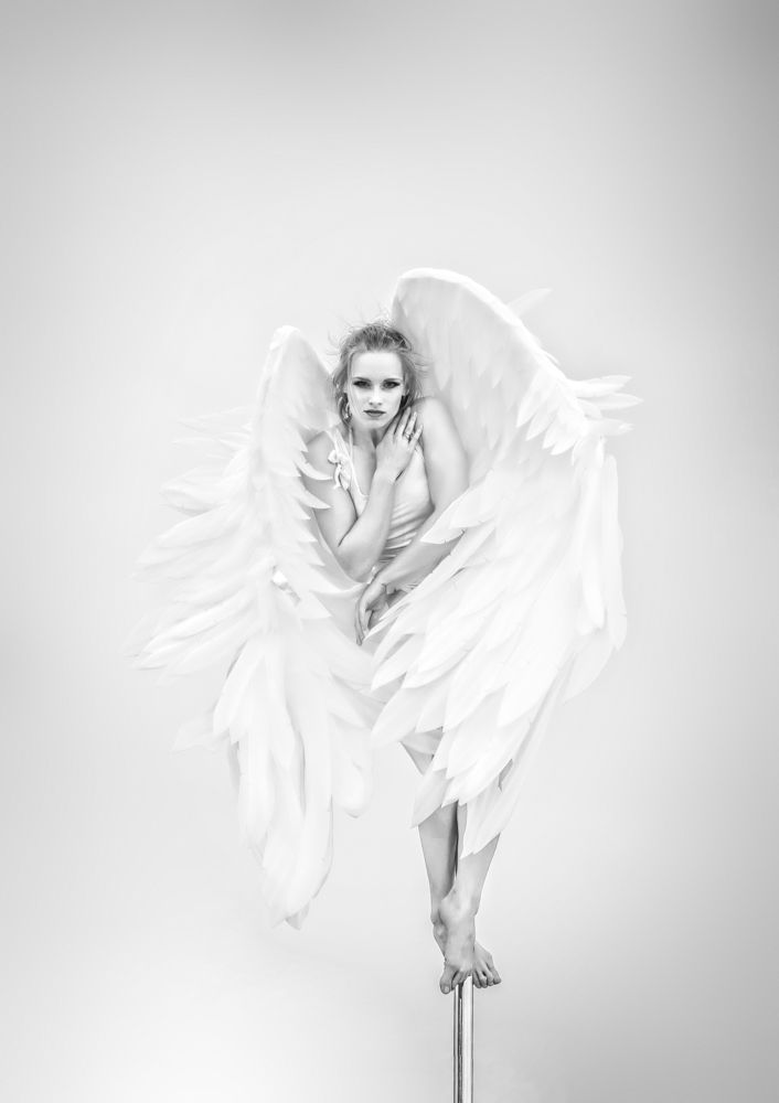 Фотография автора Антон Носиков