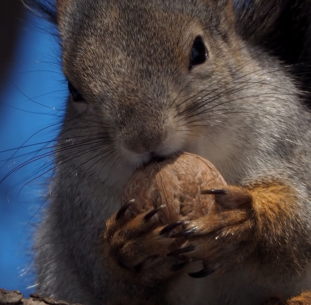 Photograph by Elena Khalizova