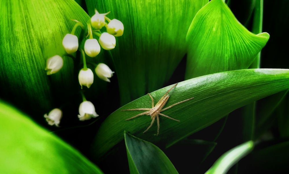 Photograph by Сергей Зайцев