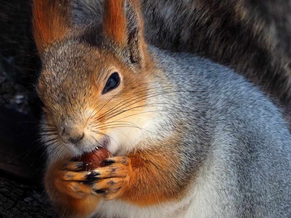 Photograph by Elena Khalizova