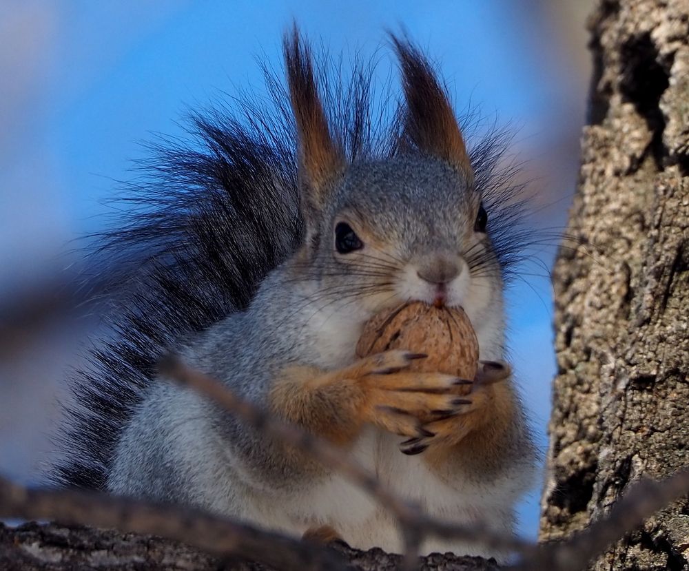 Photograph by Elena Khalizova