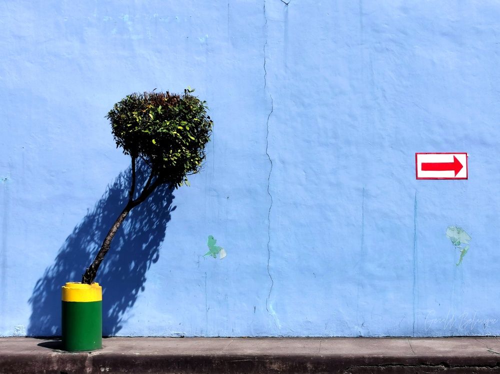 Photograph by Gerald Belanigue