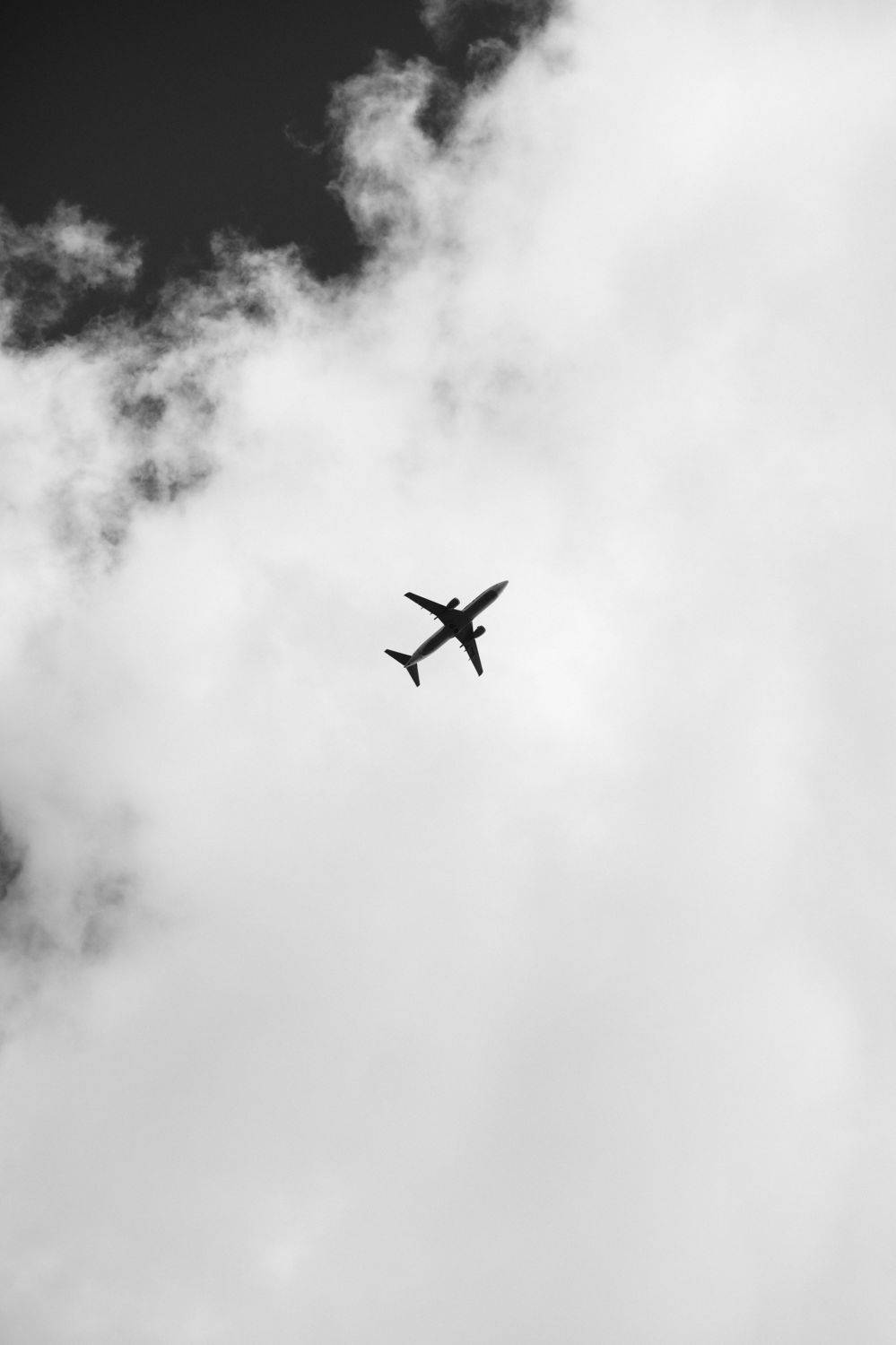 Фотография #7447525