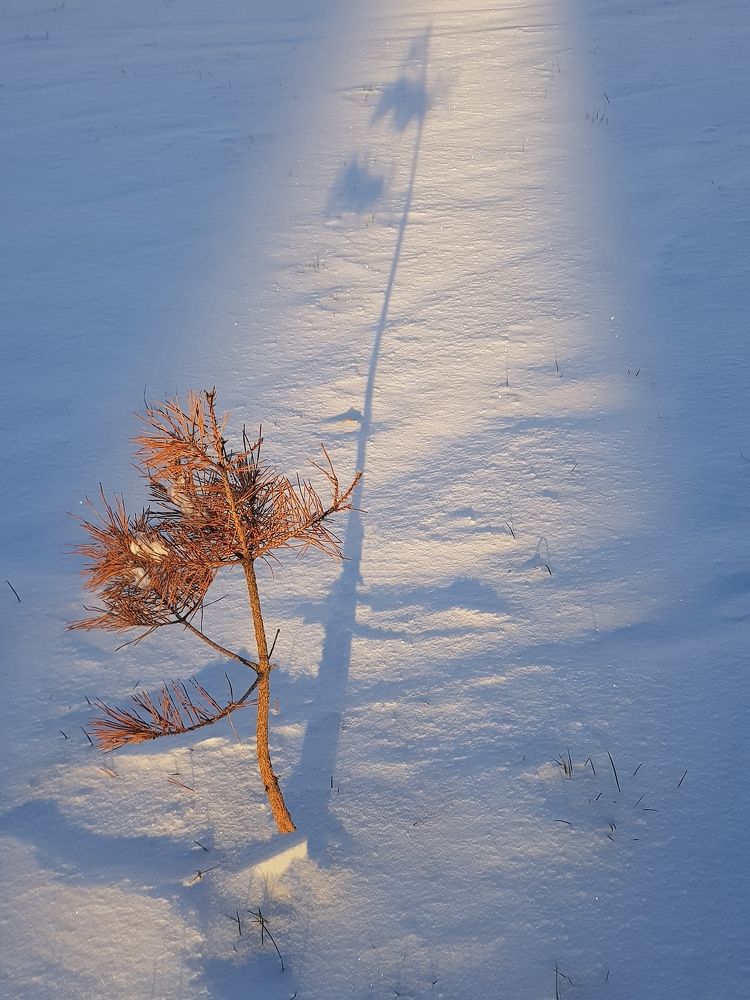 Photograph by Татьяна Яркович