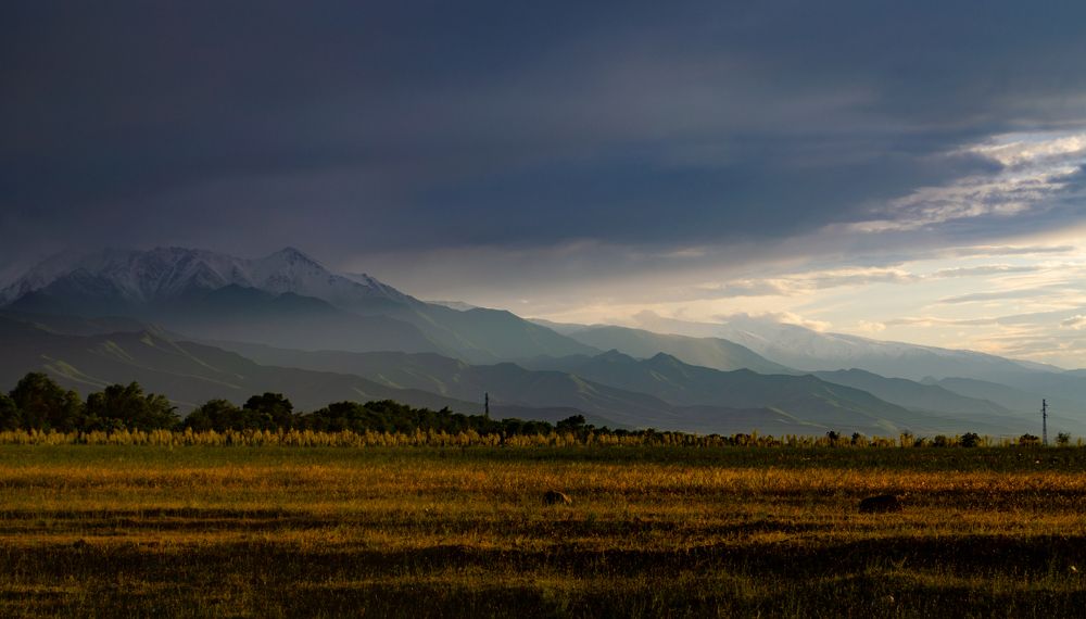 Photograph by Анна Нестеренко